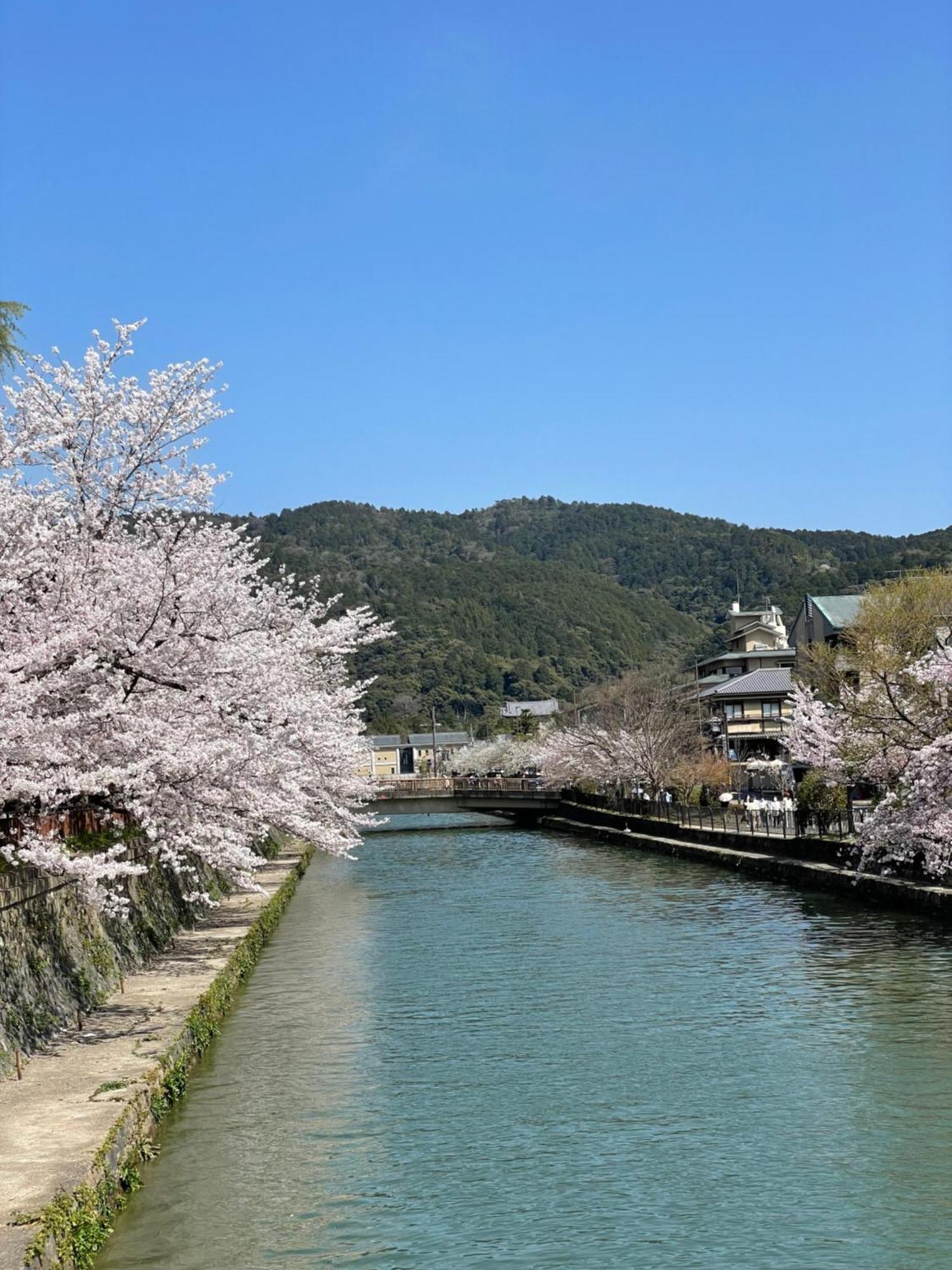 Hotel Amanek Kyoto Kawaramachi Gojo Zewnętrze zdjęcie