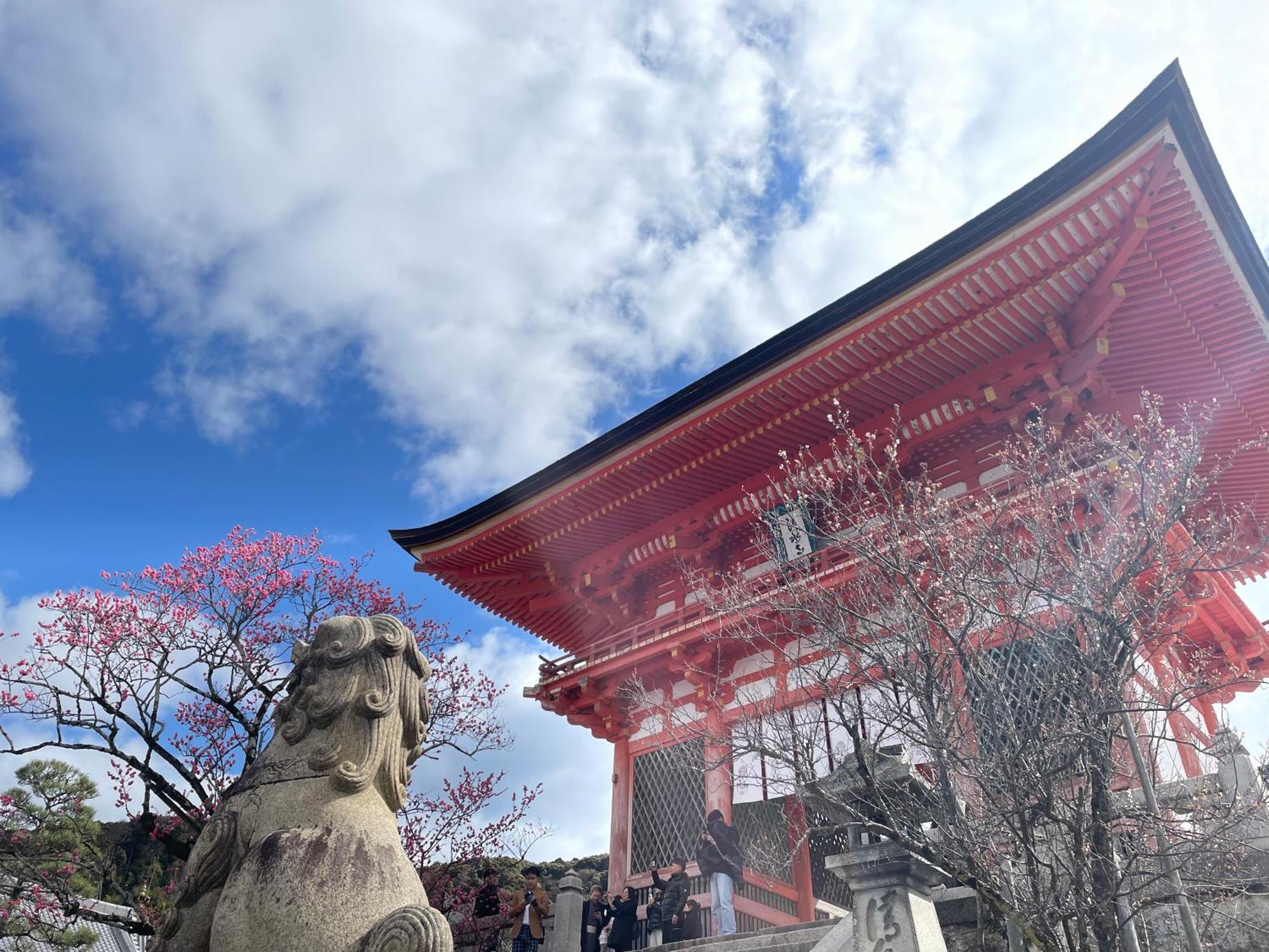 Hotel Amanek Kyoto Kawaramachi Gojo Zewnętrze zdjęcie