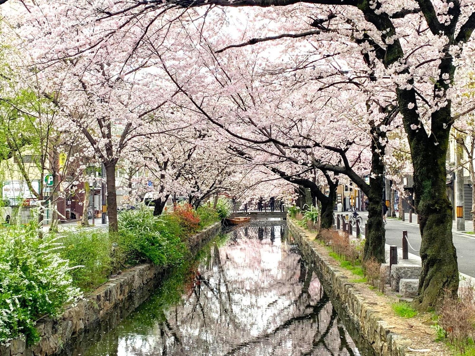 Hotel Amanek Kyoto Kawaramachi Gojo Zewnętrze zdjęcie